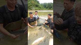 বড় একটা পুকুর কিনে জাল থেকে মাছ ধরলাম #fishing #shorts