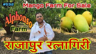 Alphonso Mango Farm For Sale In Ratnagiri Maharashtra | Real Estate वीडियोस part #532