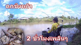 Fishing by Taiwan fishing rod 2 hours of fun, natural canal, Ayutthaya