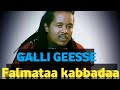 Falmataa kabbadaa New Ethiopian Oromo music 2024 💚💙💕🤟