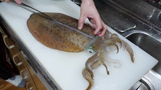 [How to make live Sashimi] Cleaned a live Oval Squids and made Sashimi! Crystal clear slices!?