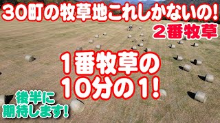 【トラクター】30町の牧草地これしかないの！後半に期待します！