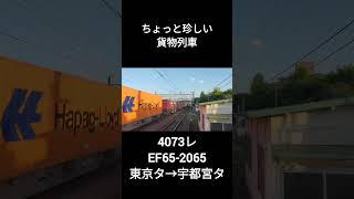 ちょっと珍しい貨物列車 4073レ EF65-2065が府中本町を爽快に通過します