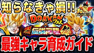 勢いでやると大失敗！ガチ勢が必ずやる最強キャラ育成ガイド｜#10周年キャンペーン ｜ドッカンバトル【ソニオTV】