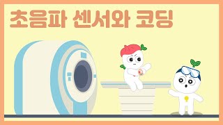 티처스 과학교육 |  중급 5-4 초음파 센서와 코딩｜과학적 원리｜STEAM교육