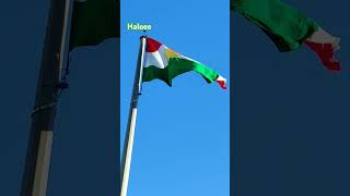 ئاڵای کوردستان ناسنامەی گەلی کوردستانە The Kurdistan flag is the identity of the Kurdish people