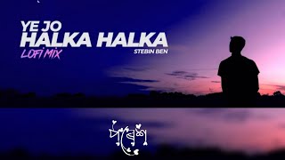 Ye Jo Halka Halka Suroor Hain Lofi Song  || Old Lofi || Ustad Nusrat Fateh Ali Khan || Stebin Ben💓