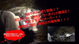 新規ポイント開拓大成功！千葉県袖ケ浦エリアの港湾部の護岸エリアで９０ｃｍオーバーゲット！！ｰその３《モンスターゲット成功篇》