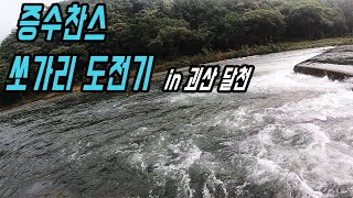 괴산 달천 쏘가리 도전, 증수찬스 #루어낚시 #쏘가리 #배스낚시