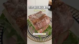 프로 유지어터 딸셋맘 160cm 45kg (최애 샌드위치🥪, 연세우유 황치즈생크림빵, 구독자 1만명 감사❣️) [20230414] #다이어트 #유지어터 #shorts