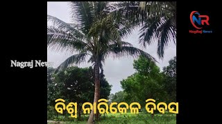 ବିଶ୍ବ ନାରିକେଳ ଦିବସ/#nagrajnews