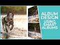 Dog Photography Album Design using Smart Albums