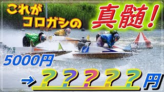 【競艇初心者】的中率80%越え！？とある教師のコロガシ講座！【ボートレース】