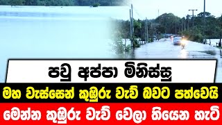 පවු අප්පා මිනිස්සු | මහ වැස්සෙන් කුඹුරු වැව් බවට පත්වෙයි | මෙන්න කුඹුරු වැව් වෙලා තියෙන හැටි.....