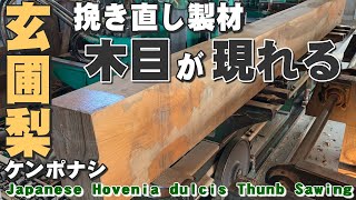 【挽き直し製材】ケンポナシ材の修正挽き【木の店さんもく】Hovenia dulcis Thunb Sawing