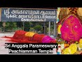 அன்னை வானைப் பார்க்கிறாள்; உலகைக் காக்கிறாள் | Sri Anggala Parameswary Peachiamman Temple