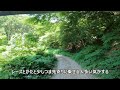 【crf250ls】crf仲間とのんびり秋鹿林道【2023年7月 秋鹿大影林道】