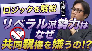 【簡単解説】リベラル派勢力が共同親権を忌み嫌う理由！