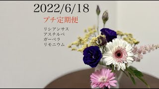 6月18日（土）発送のプチ定期便