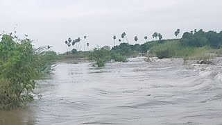 குசித்தலை ஆறு வழியில் சாலை முழுவதும் சேதம் மிகவும்வருத்தமாகஉள்ளது |#floods#riverflood riverflood