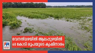 വേനല്‍മഴയില്‍ വന്‍കൃഷി നാശം; ആലപ്പുഴയില്‍ 68 കോടിയുടെ നഷ്ടം | Alappuzha Paddy Field