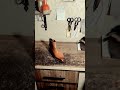 shoe making's magic #shorts #shortfunnyvideo #funny #shoes #boots