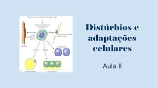 Distúrbios e adaptações celulares  - parte II