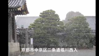 京都の庭園 The garden of Kyoto　二条城 二の丸庭園 nijo Castle ninomaru garden