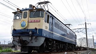 JR貨物 9867レ EF65 2139+コキ3B 三島～沼津間