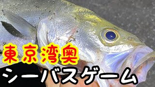 城南島海浜公園でバチ抜けシーバス！細いラインでヒヤヒヤしながらのやり取り