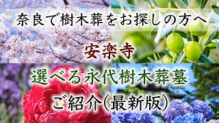 【最新版】安楽寺 選べる永代樹木葬墓のご紹介《奈良の樹木葬》