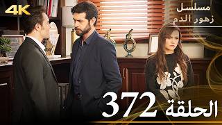 الحلقة 372 | مسلسل زهور الدم | مدبلج بالعربية | Kan Çiçekleri | جودة 4K