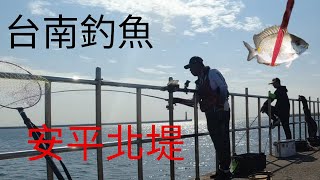 台南釣魚|久違的釣場|安平北堤|生態調查| #星點臭肚 #臭肚 都有 #練餌 #蘇信州 #fishing #クロダイ #감성돔 #ตกปลา #Su16888