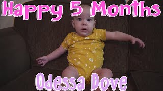 Happy 5 Months Odessa Dove