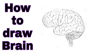 How to draw human brain🧠step by step in easiest way.....Especially for Science students....