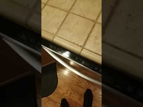 Which Kenmore Elite dishwasher do I have?
