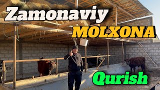 CHORVALAR UCHUN ZAMONAVIY MOLXONA QURISH