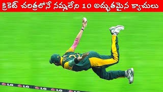 Top 10 Amazing & Unbelievable Catches In Cricket History | Best Spider Man  Catches In Cricket |