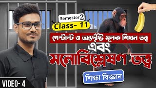 গেস্টাল্ট ও অন্তর্দৃষ্টি তত্ত্ব | মনোবিশ্লেষণ তত্ত্ব | শিক্ষা বিজ্ঞান | Class 11 | Semester 2 | elit