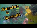 SABAH: Snorkeling di Manukan/Mamutik