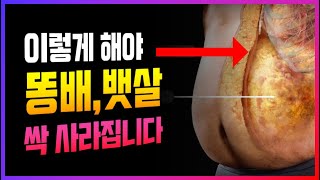 살 빼고 싶으면 운동 그만하고 '이 다이어트' 하세요! 체지방 감량 방법