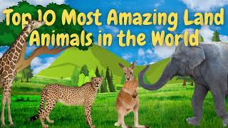 Top 10 Most Amazing Land Animals for Kids! 🦁🐘