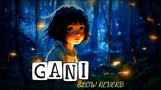 GANI | SLOW REVERB | AKHIL | LOFI_AARTI