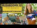 Mushrooms 101: The Basics of Mushroom Foraging - Part 3