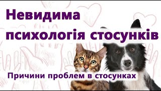 Невидима психологія стосунків. Причини проблем в стосунках. Родові травми, програми і сценарії.