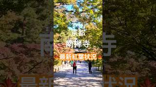 11/13（水）京都南禅寺の紅葉色づき最新状況をお届け！为您带来京都南禅寺秋叶变色的最新资讯！Autumn leaves at Nanzenji Temple in Kyoto.#shorts