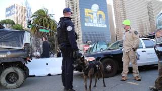 ICE at Super Bowl 50: Security
