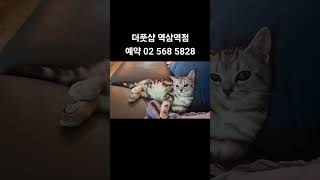 더풋샵 역삼역점입니다. 강남소재 고급호텔급 시설에서 알뜰전신 이쁜다리발 온열복부 하체부종으로 힐링받으세요. 더풋샵 역삼역점입니다.  #마사지 #더풋샵역삼 #더풋샵강남 #역삼