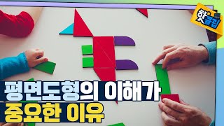 [핫클립] 평면도형의 이해가 중요한 이유 / YTN 사이언스