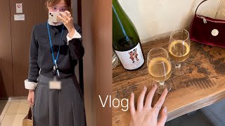 도쿄vlog | 어느덧 5년차 일본 직장인, 특기는 언박싱 | 새해 목표 100개 | 일본에서 생일(=설날) 보내기 | 열심히 청모 뛰고 위염 앓는 일상